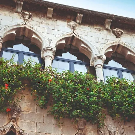 Mendikovic Guest house